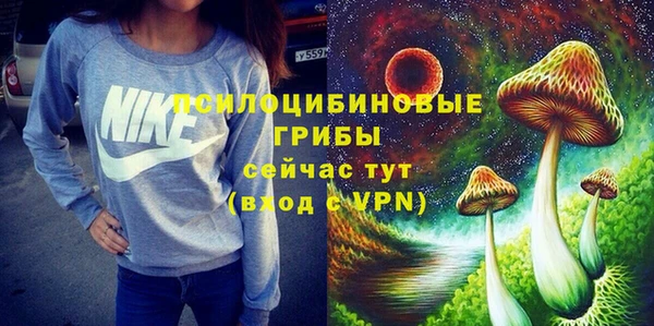 прущая мука Алзамай
