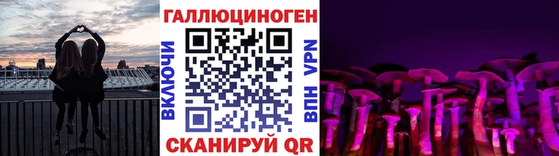 Псилоцибиновые грибы GOLDEN TEACHER  Кукмор 